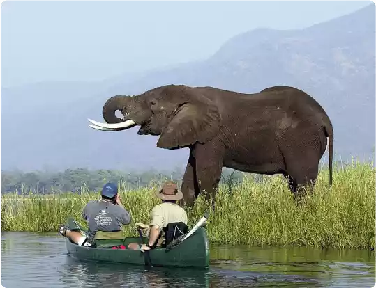 About MarshalIslandTenders